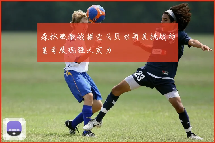 森林狼激战掘金戈贝尔再度挑战约基奇展现强大实力